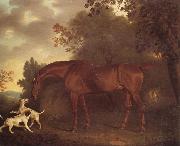 Clifton Tomson A Bay Hunter and Two Hounds in A Wooded Landscape oil on canvas